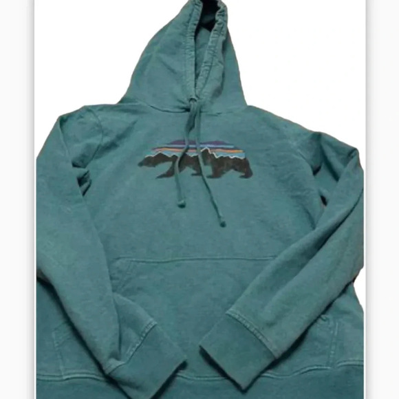 Patagonia hoodie - Picture 1 of 1